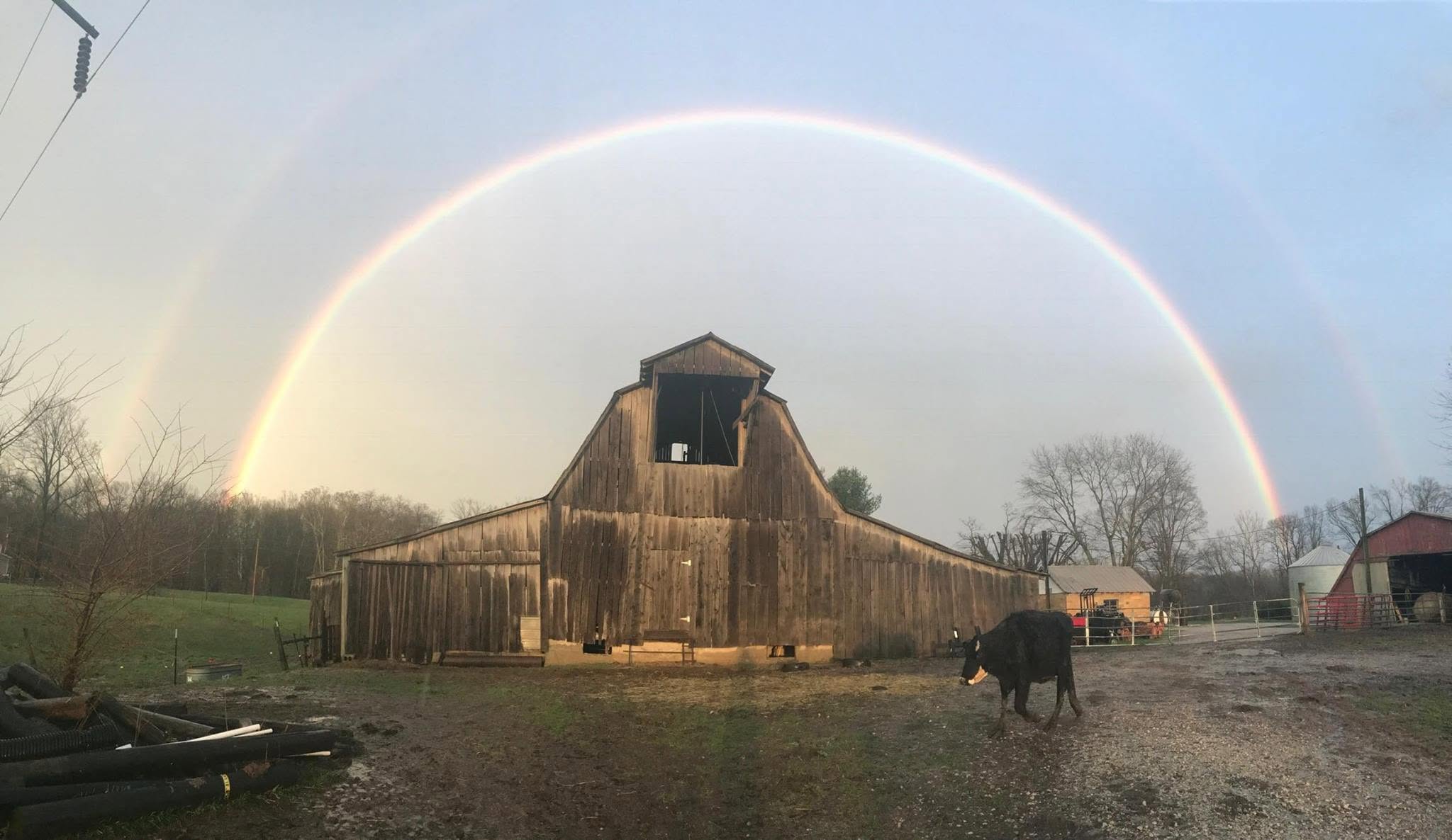 Davis Farms barn beneath a rainbow
